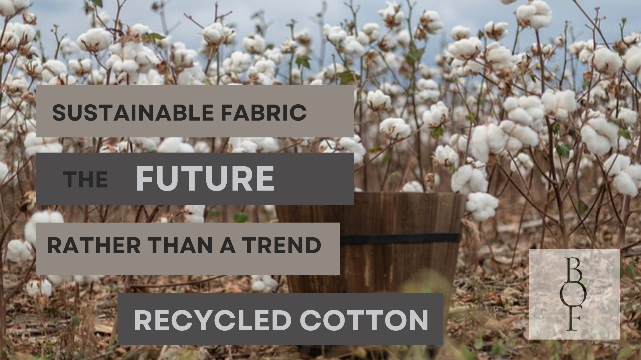 Recycled Cotton – Sustainable Fabric: What Is It and Why It Matters