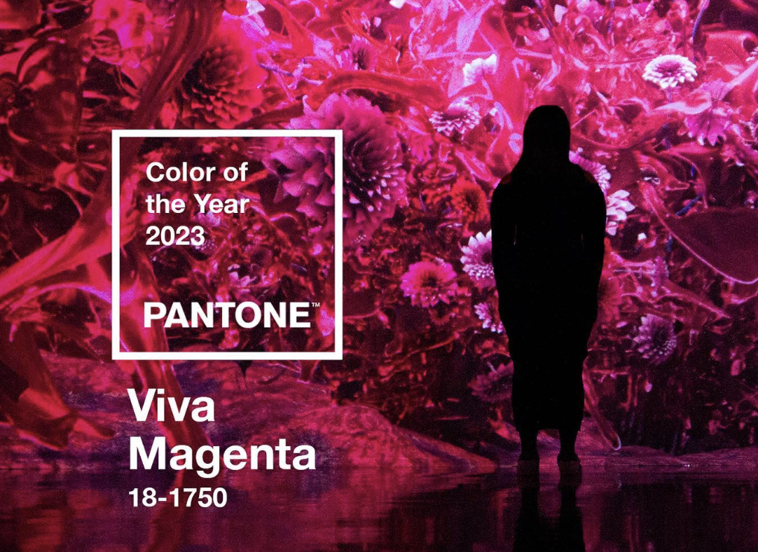 Viva Magenta is the 2023 colour of the year, according to Pantone