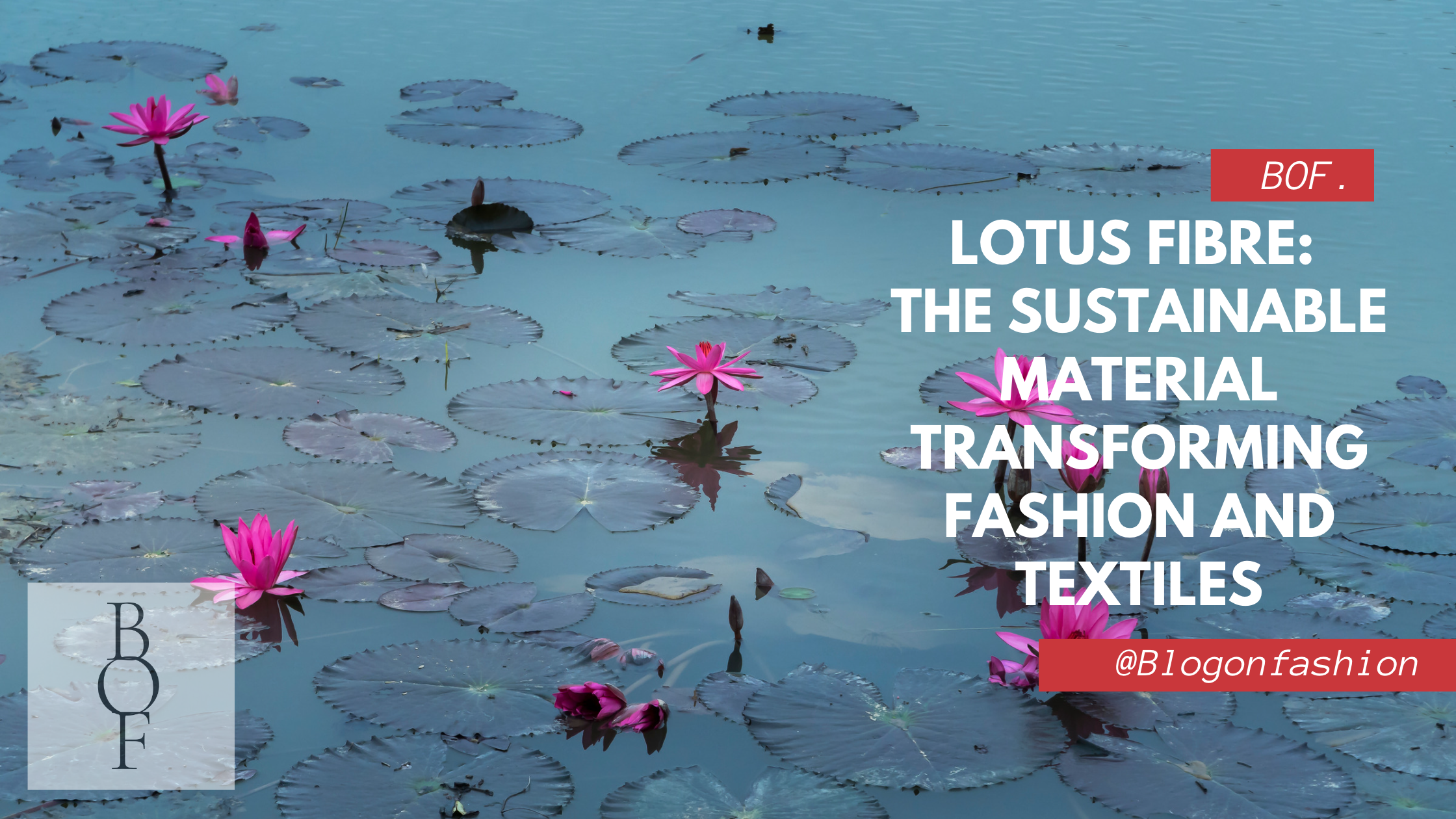 Lotus Fibre: The Sustainable Material Transforming Fashion and Textiles